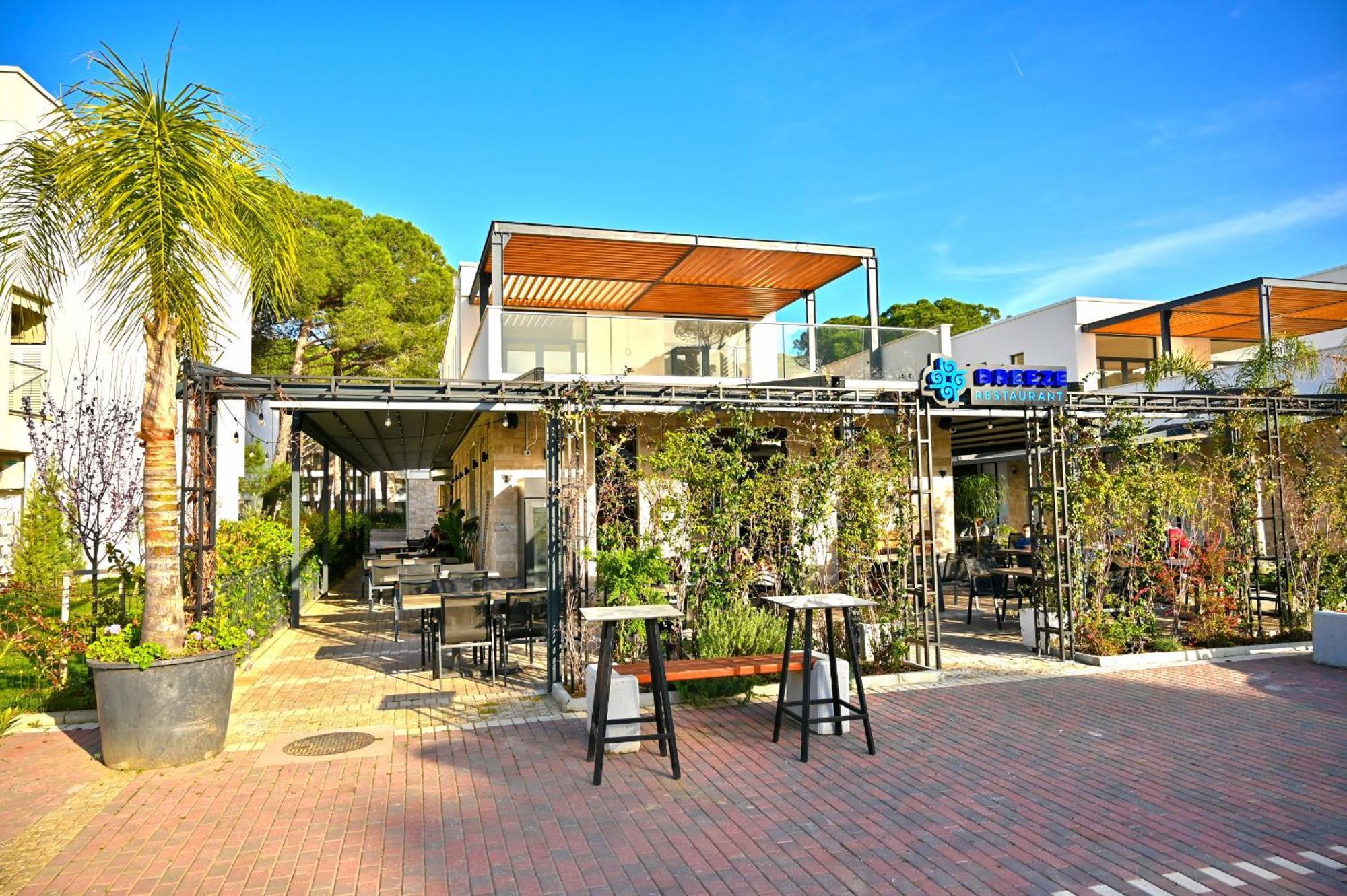 Appartement Olive Tree - 290 *