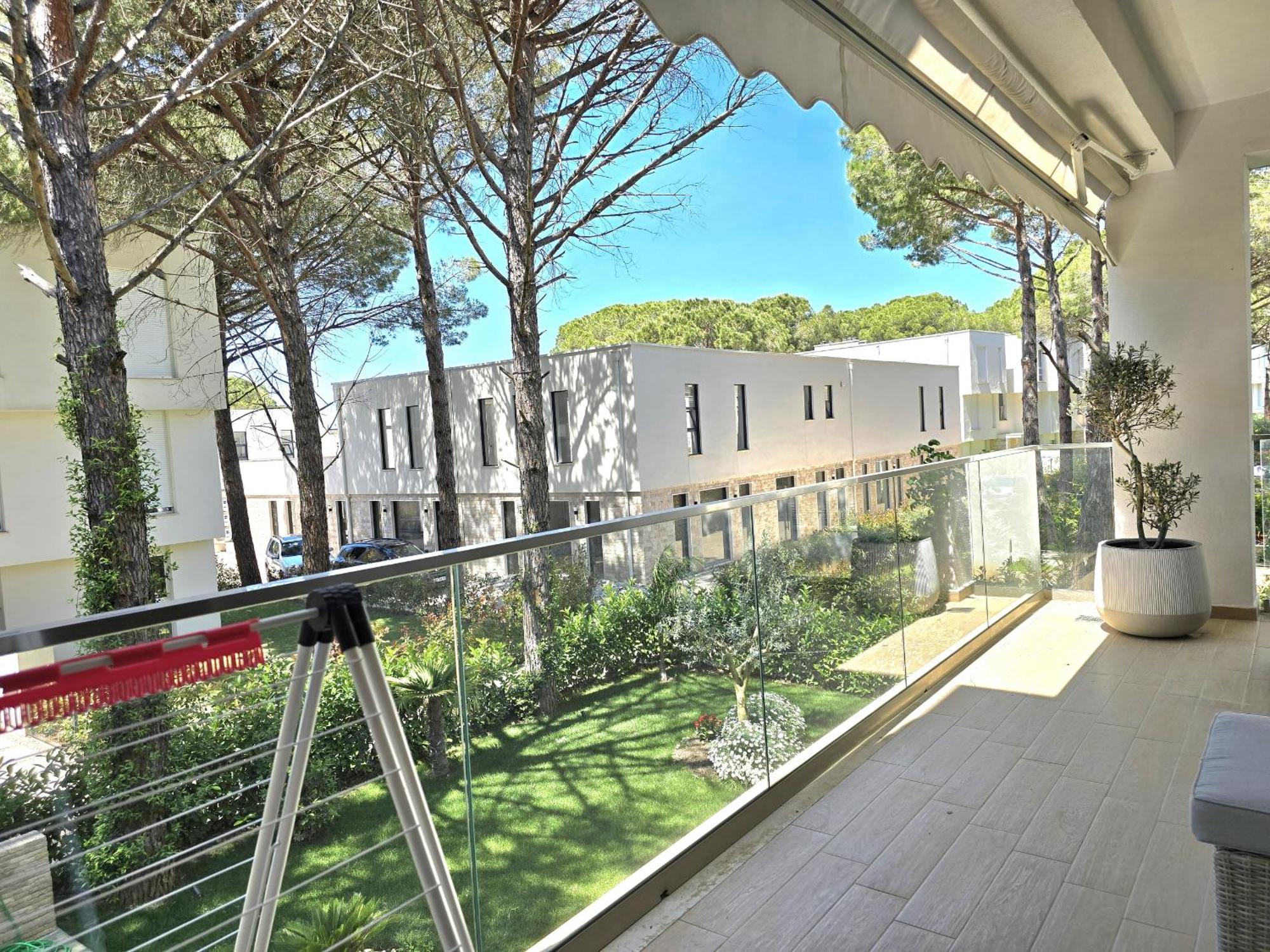Olive Tree - 290 *